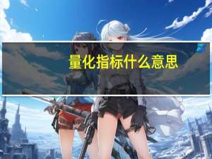 量化指标什么意思