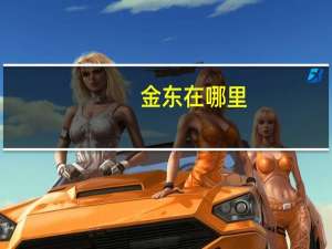 金东在哪里