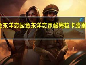 金东洋恋园 金东洋恋家 酸梅粒卡路里是多少