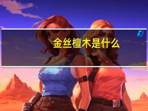 金丝檀木是什么