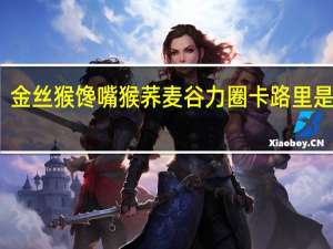 金丝猴馋嘴猴荞麦谷力圈卡路里是多少