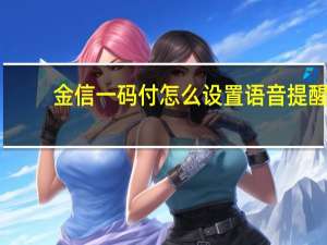 金信一码付怎么设置语音提醒