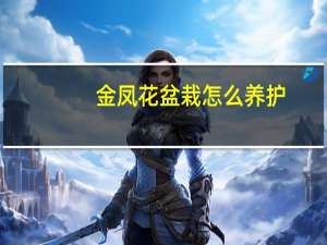 金凤花盆栽怎么养护