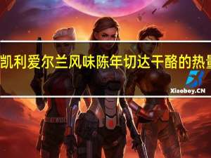 金凯利 爱尔兰风味陈年切达干酪的热量是多少