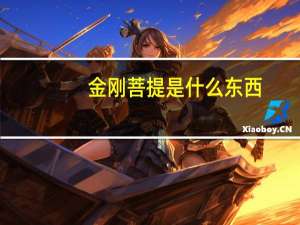 金刚菩提是什么东西