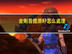 金剛菩提原籽怎么處理