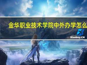 金华职业技术学院中外办学怎么样