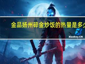 金品 扬州碎金炒饭的热量是多少