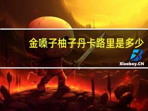 金嗓子 柚子丹卡路里是多少