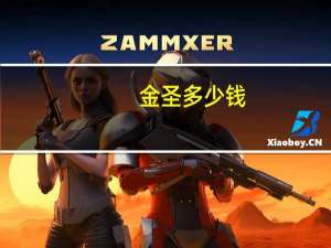 金圣多少钱