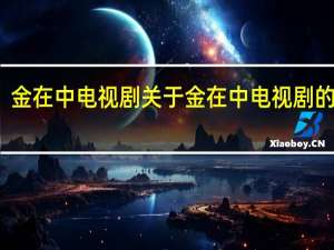 金在中电视剧 关于金在中电视剧的介绍