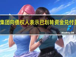 金地集团向债权人表示已划转资金兑付美元债票息