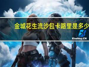 金城 花生流沙包卡路里是多少