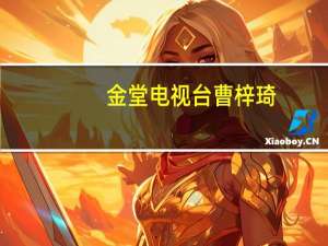 金堂电视台曹梓琦（金堂电视台）