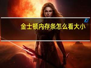 金士顿内存条怎么看大小