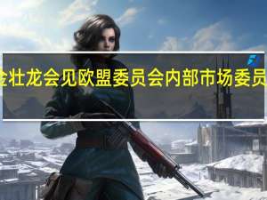 金壮龙会见欧盟委员会内部市场委员布雷顿