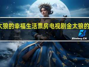 金太狼的幸福生活票房 电视剧金太狼的幸福生活