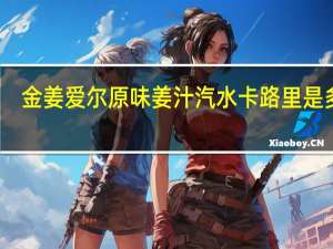 金姜爱尔 原味姜汁汽水卡路里是多少