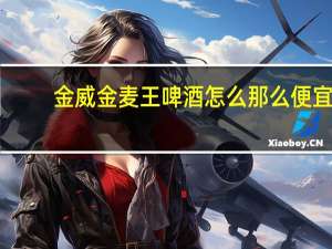 金威金麦王啤酒怎么那么便宜