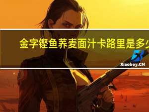 金字 铿鱼荞麦面汁卡路里是多少