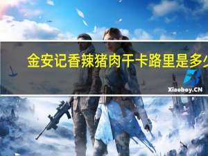金安记 香辣猪肉干卡路里是多少