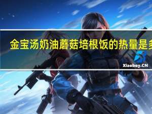 金宝 汤奶油蘑菇培根饭的热量是多少