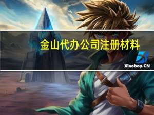 金山代办公司注册材料
