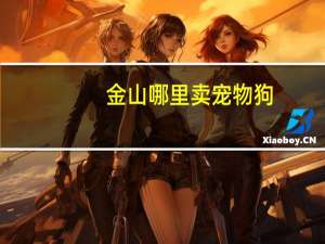 金山哪里卖宠物狗