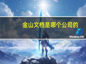 金山文档是哪个公司的