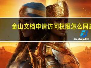 金山文档申请访问权限怎么同意