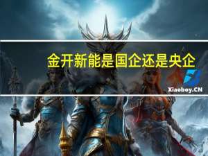 金开新能是国企还是央企