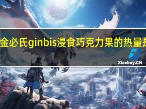 金必氏 ginbis 浸食巧克力果的热量是多少