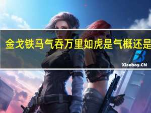 金戈铁马气吞万里如虎是气概还是功名