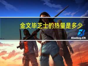 金文 毕芝士的热量是多少