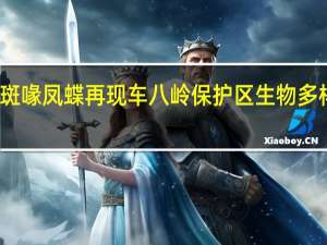 金斑喙凤蝶再现车八岭保护区 生物多样性新证