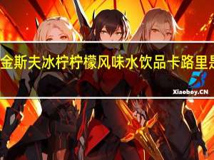 金斯夫 冰柠柠檬风味水饮品卡路里是多少