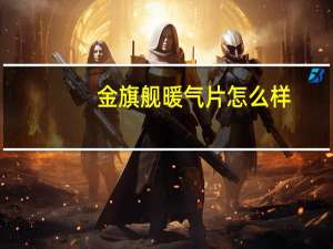 金旗舰暖气片怎么样