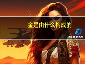 金是由什么构成的