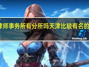 金杜律师事务所有分所吗 天津比较有名的律师事务所