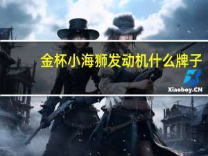 金杯小海狮发动机什么牌子