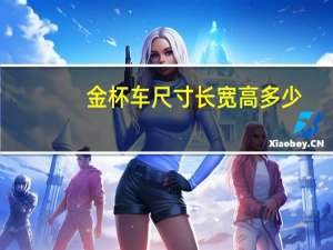 金杯车尺寸长宽高多少