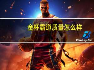 金杯霸道质量怎么样（金杯霸道简介）