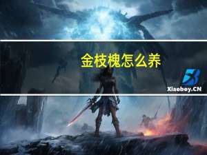 金枝槐怎么养