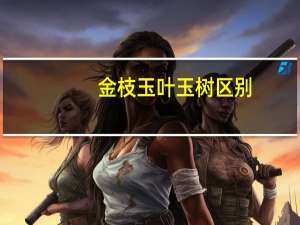 金枝玉叶玉树区别