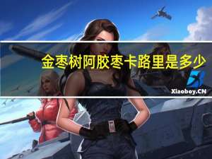 金枣树 阿胶枣卡路里是多少