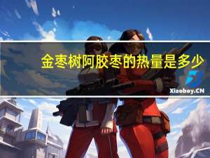 金枣树 阿胶枣的热量是多少