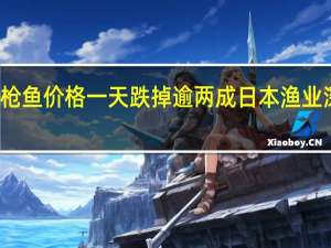金枪鱼价格一天跌掉逾两成 日本渔业深受重创