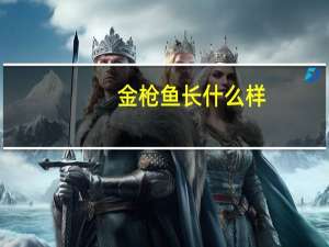 金枪鱼长什么样