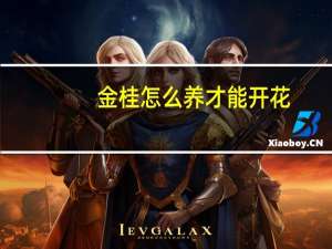 金桂怎么养才能开花