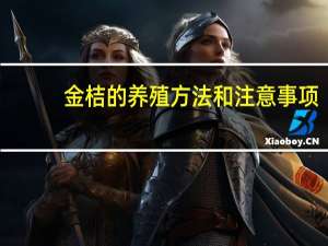 金桔的养殖方法和注意事项：花期不要被雨淋